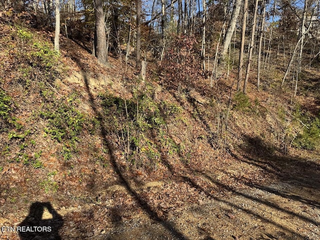 0 Mulberry Way, Sevierville, TN 37876 - photo 3