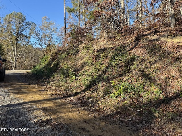 0 Mulberry Way, Sevierville, TN 37876 - photo 4
