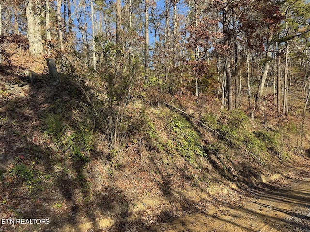 0 Mulberry Way, Sevierville, TN 37876 - photo 5