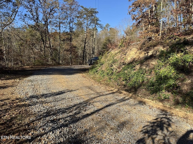 0 Mulberry Way, Sevierville, TN 37876 - photo 6