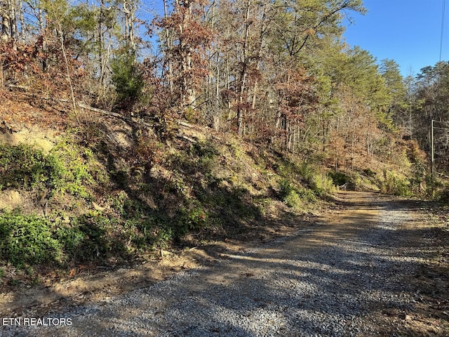 0 Mulberry Way, Sevierville, TN 37876 - photo 7