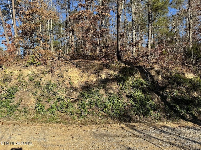 0 Mulberry Way, Sevierville, TN 37876 - photo 8