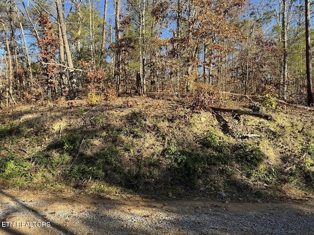0 Mulberry Way, Sevierville, TN 37876 - photo 9