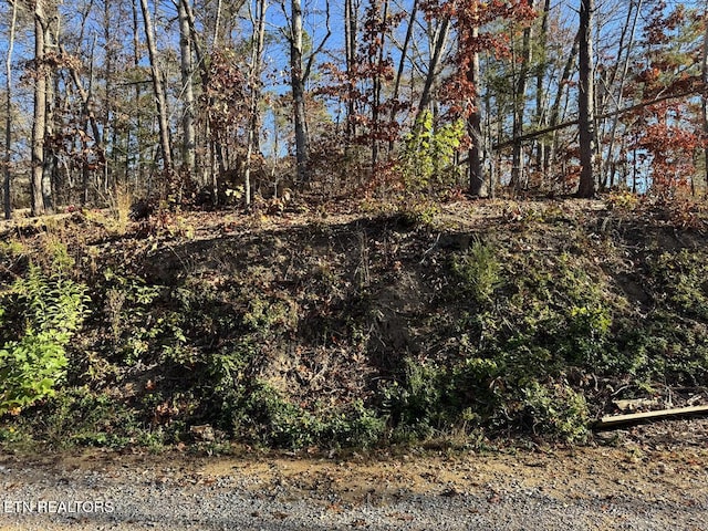 0 Mulberry Way, Sevierville, TN 37876 - photo 10