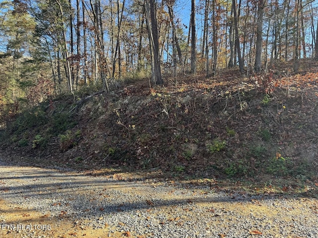 0 Mulberry Way, Sevierville, TN 37876 - photo 12