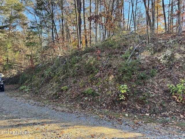 0 Mulberry Way, Sevierville, TN 37876 - photo 13