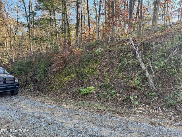 0 Mulberry Way, Sevierville, TN 37876 - photo 14