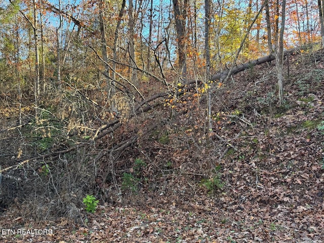 0 Mulberry Way, Sevierville, TN 37876 - photo 15