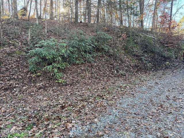 0 Mulberry Way, Sevierville, TN 37876 - photo 16