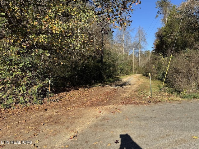 0 Mulberry Way, Sevierville, TN 37876 - photo 18