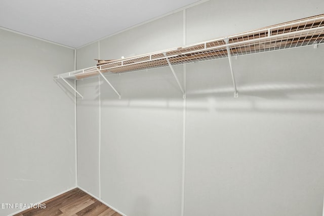 walk in closet with wood-type flooring