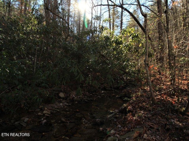 303 Chestnut Valley Ln, Vonore TN, 37885 land for sale