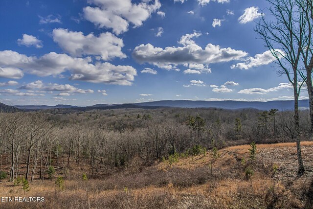 view of mountain feature