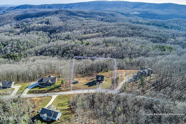 bird's eye view featuring a mountain view