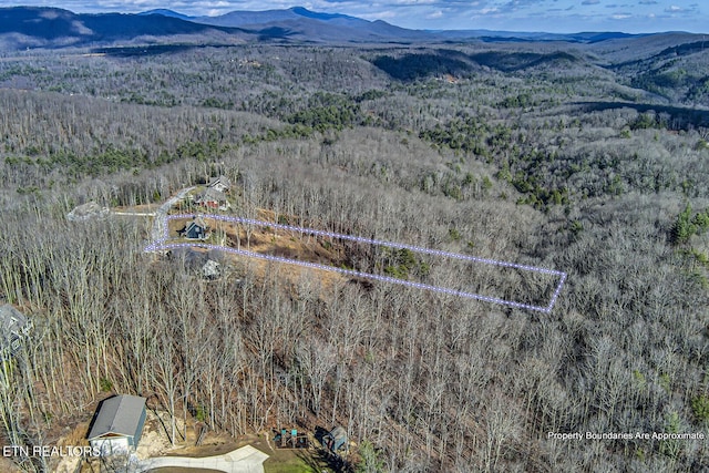 drone / aerial view featuring a mountain view