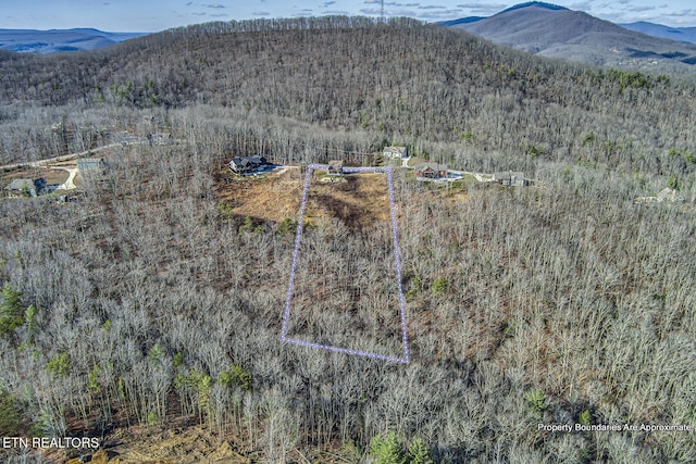 drone / aerial view featuring a mountain view