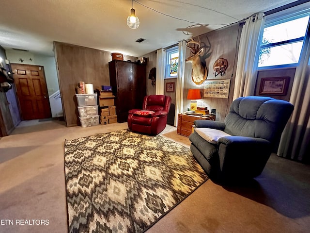 827 Goddard St, Alcoa, TN 37701 - photo 26