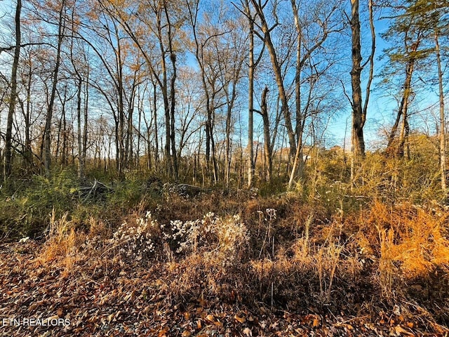 Listing photo 2 for 16.75AC Euchee Rd, Ten Mile TN 37880