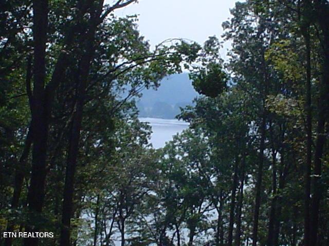 Listing photo 2 for E Shore Dr, Rockwood TN 37854