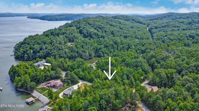 Mariners Cv, Rockwood, TN 37854 - photo 5