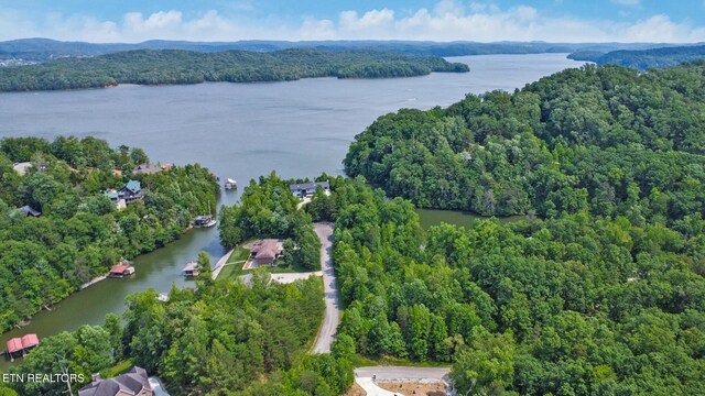 Mariners Cv, Rockwood, TN 37854 - photo 3