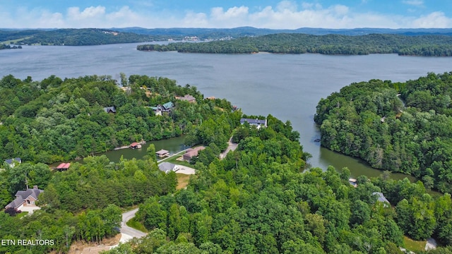 Mariners Cv, Rockwood, TN 37854 - photo 9