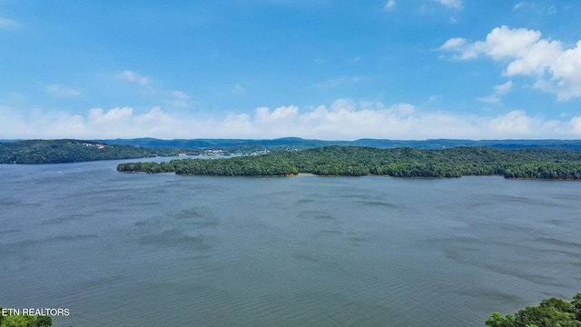 Mariners Cv, Rockwood, TN 37854 - photo 4
