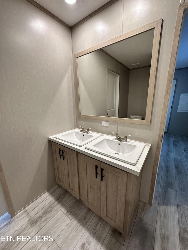 bathroom with hardwood / wood-style floors and vanity