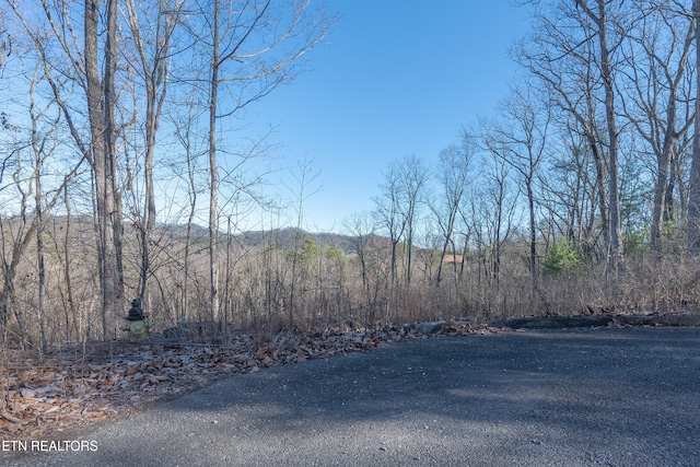 Listing photo 2 for LOT51 Cloud View Dr, Sevierville TN 37862