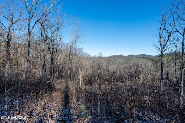 Listing photo 3 for LOT51 Cloud View Dr, Sevierville TN 37862