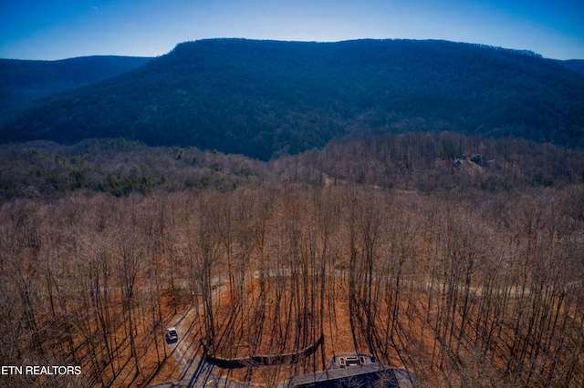 view of mountain feature