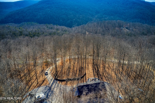 bird's eye view featuring a mountain view