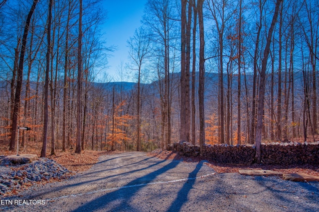 view of mountain feature