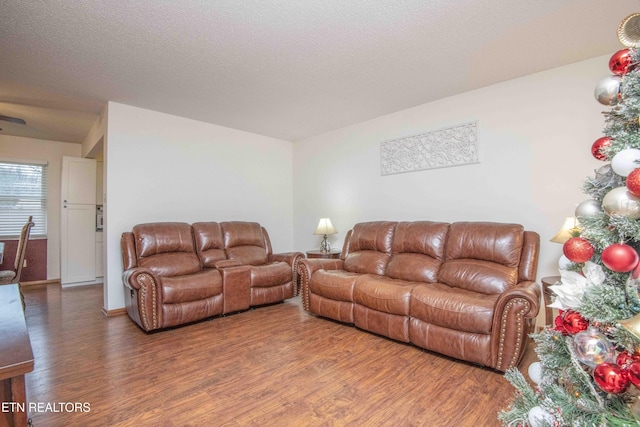 living room with a textured ceiling and hardwood / wood-style flooring