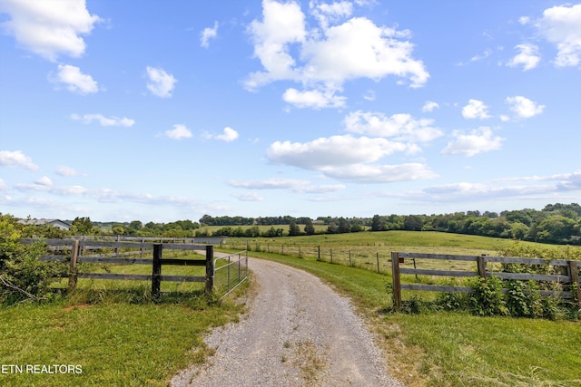 1430 Maple Ln, Greenback, TN 37742 - view of dirt / gravel driveway featuring a view of rural / pastoral area