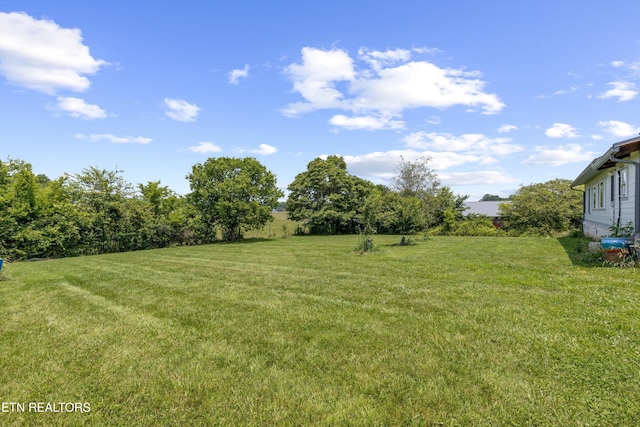 1430 Maple Ln, Greenback, TN 37742 - view of green lawn