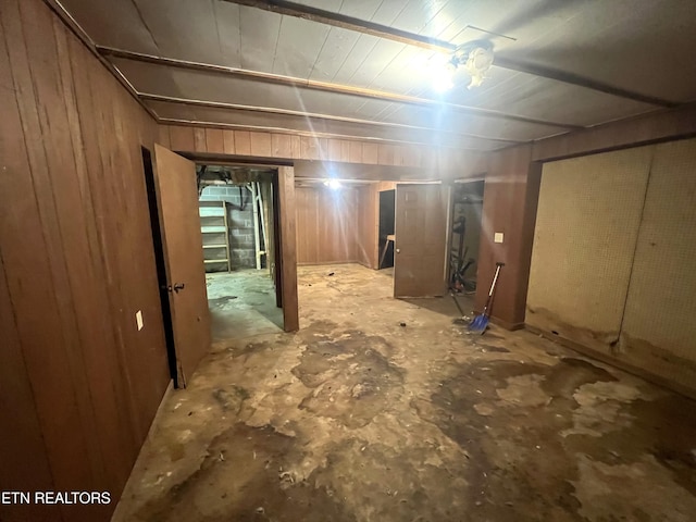 basement with wooden walls