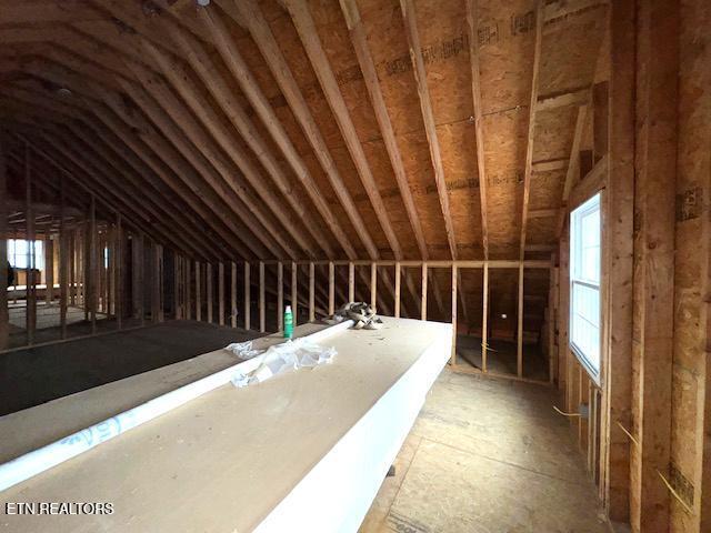 attic with plenty of natural light