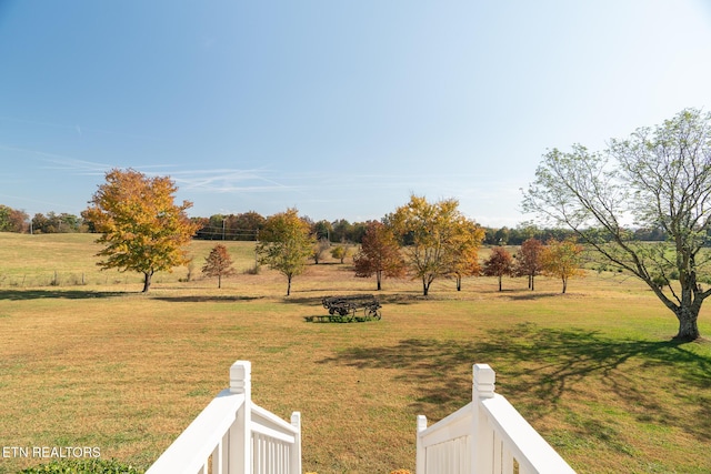 view of yard with a rural view