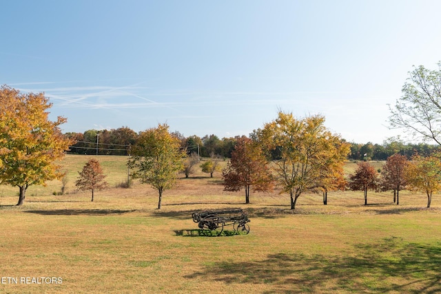 view of yard featuring a rural view