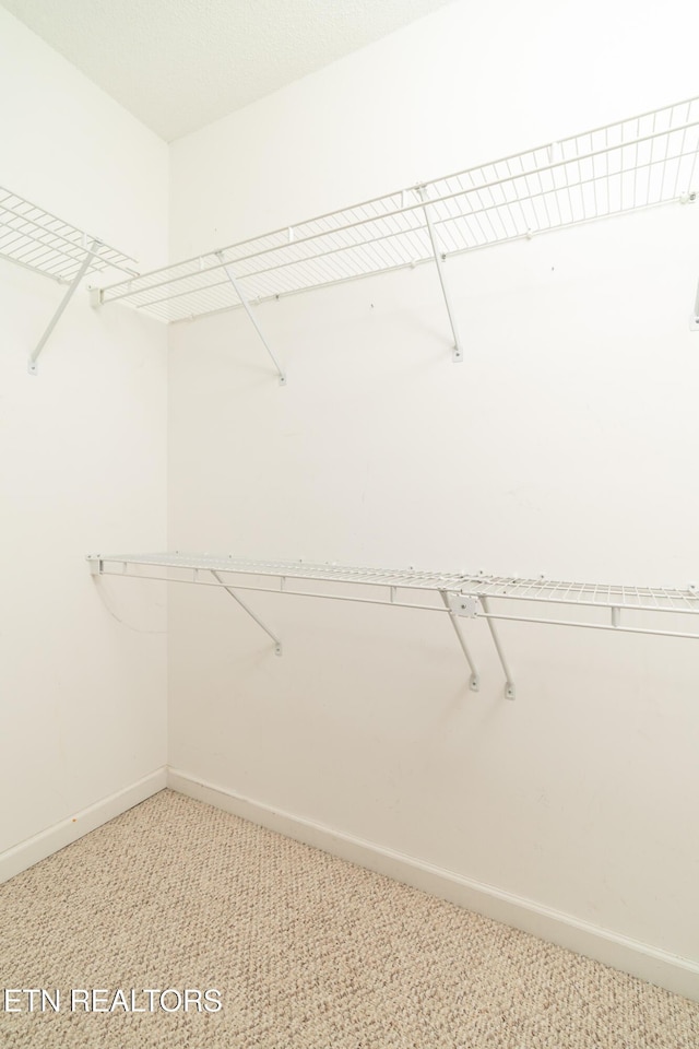 spacious closet with light colored carpet