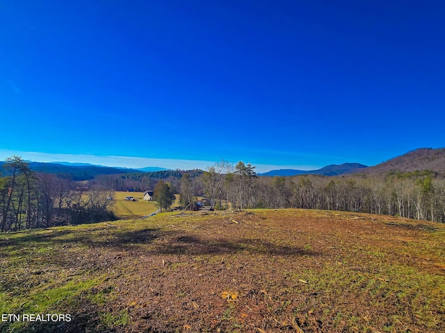 Listing photo 2 for 624 Creek Rd, Reliance TN 37369