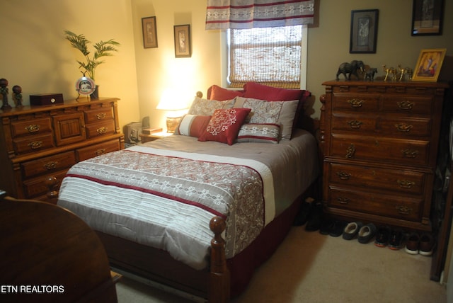 bedroom with carpet floors