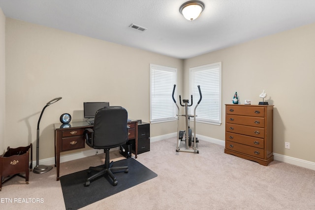 home office with light carpet