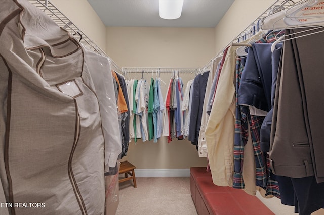 walk in closet with carpet floors