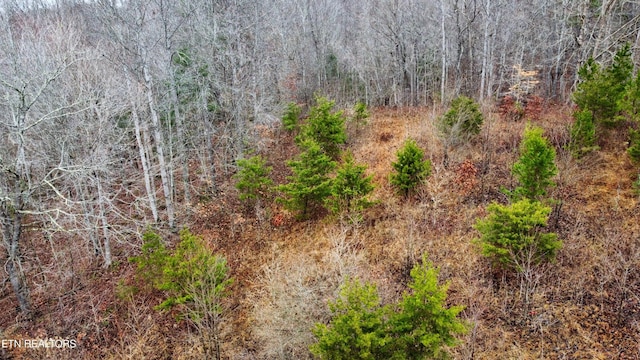 0 Rock House Rd, Pioneer, TN 37847