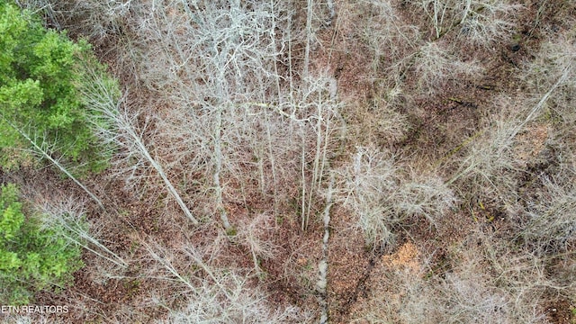 0 Rock House Rd, Pioneer, TN 37847
