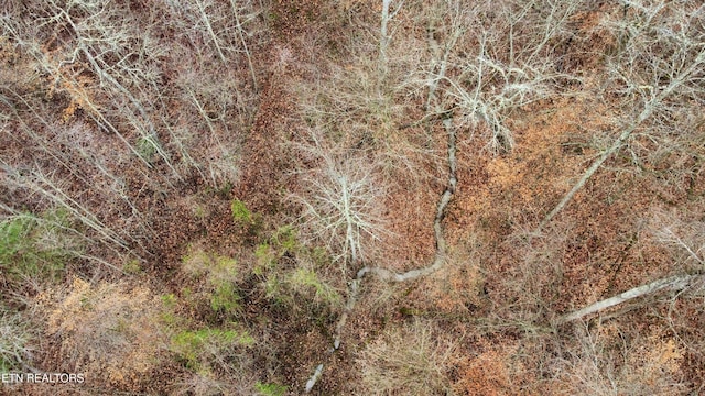 0 Rock House Rd, Pioneer, TN 37847