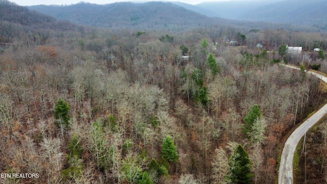 0 Rock House Rd, Pioneer, TN 37847