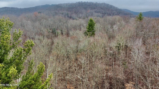 0 Rock House Rd, Pioneer, TN 37847